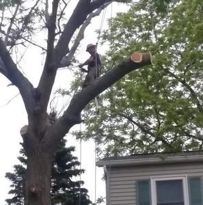 Meet your Posher, Brad